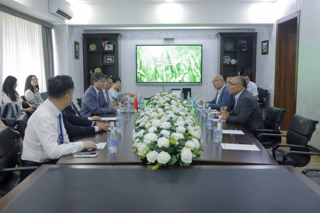 乌兹别克斯坦和中国正携手应对荒漠化和土壤盐碱化问题。